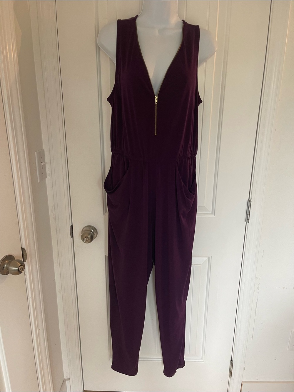 Ambiance Plum Sleeveless V-Neck Jumpsuit with Gold Zip